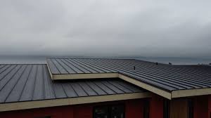 Best Green or Eco-Friendly Roofing Solutions  in Pierce, NE